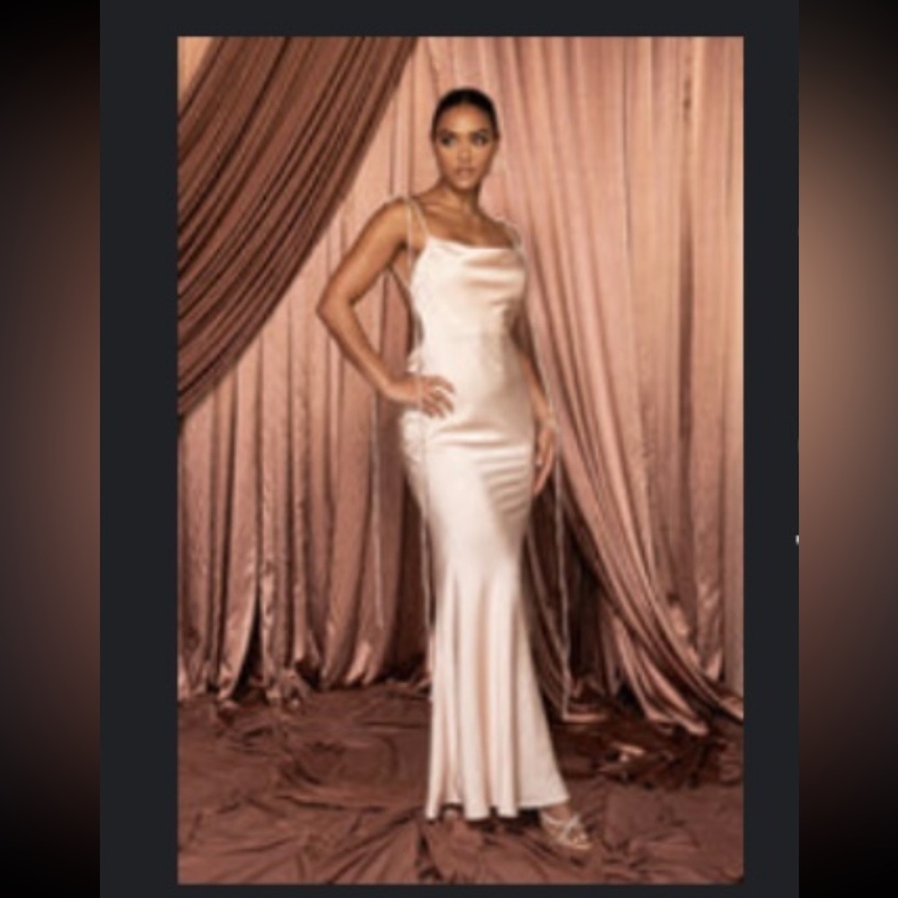 Silk champagne pink dress